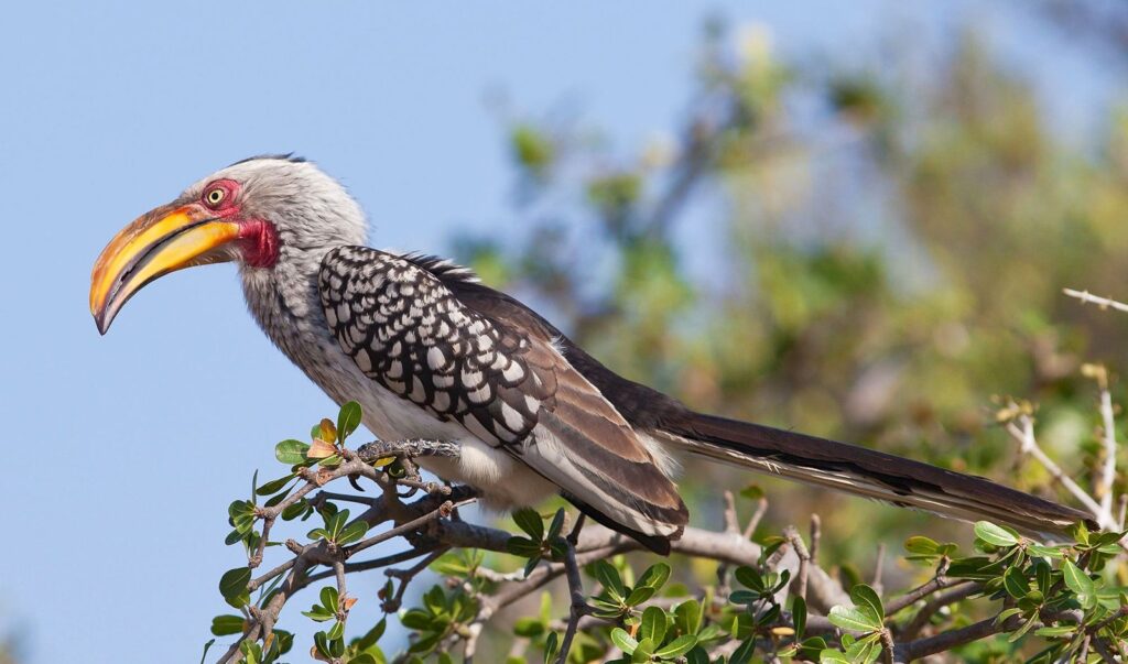 3-Day Mikumi Safari from Dar es Salaam