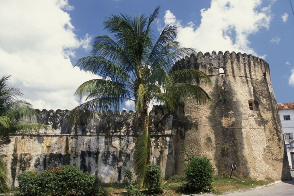 12 Day Wildlife and Stone Town
