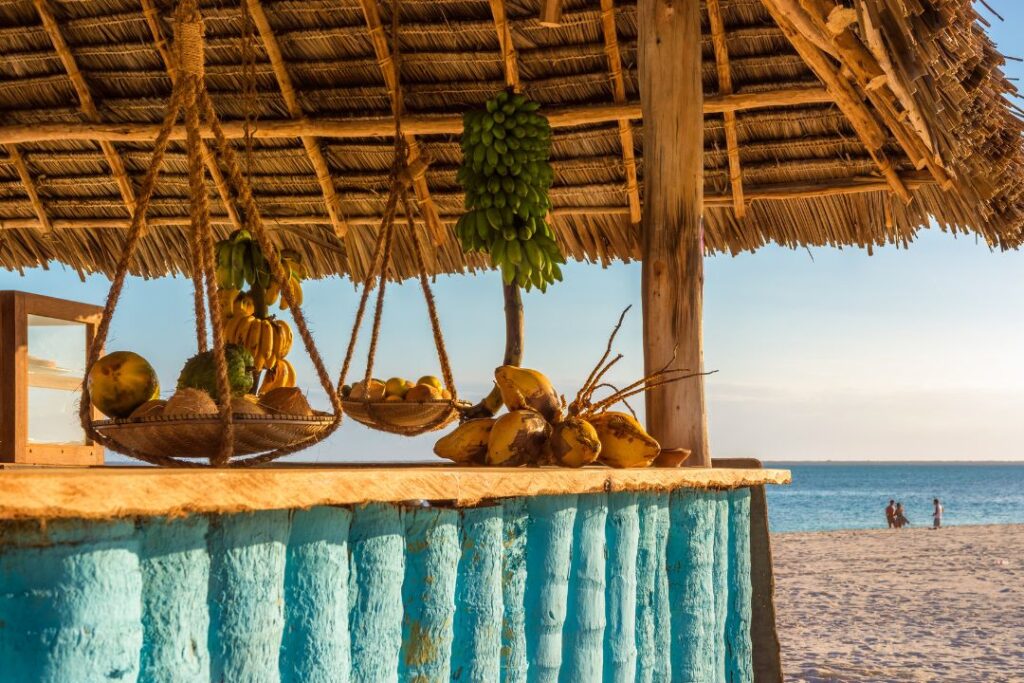 10 Day Tanzania Safari and Beach Holiday