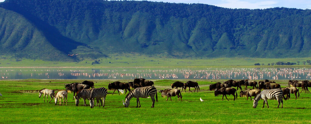 4-Day Tanzania Short Safari from Arusha