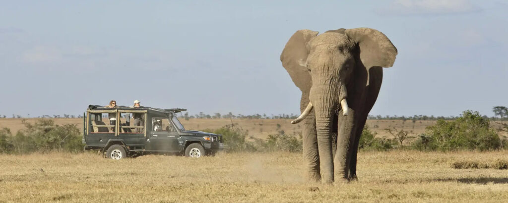 6-Day Southern Tanzania Safari Itinerary