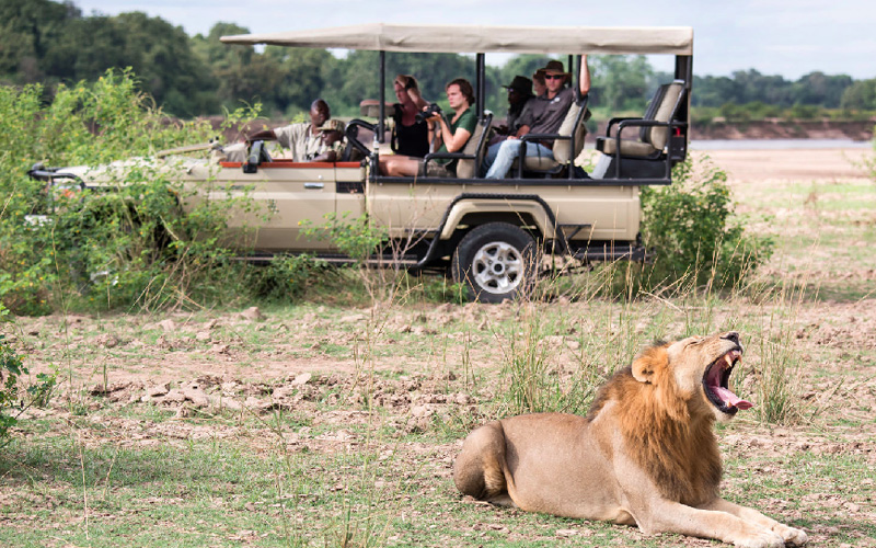 6-Day Southern Tanzania Safari