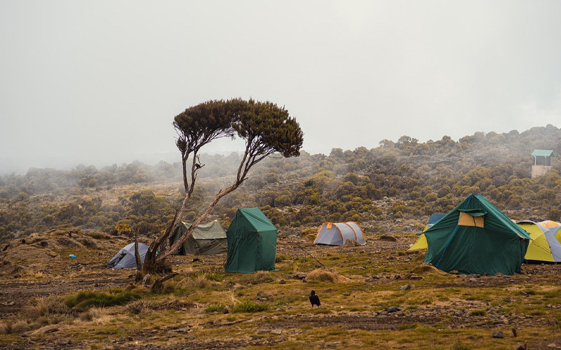 6-Days Machame Route