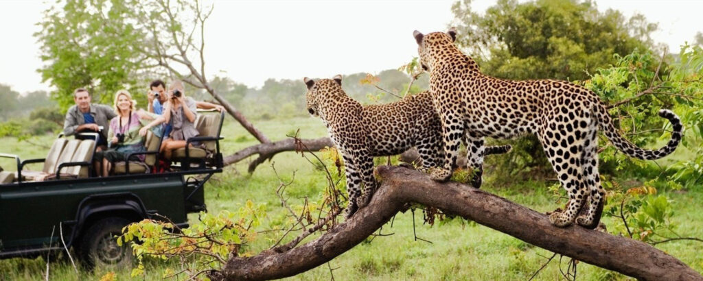 7-Day Tanzania Safari Itinerary for First Timers