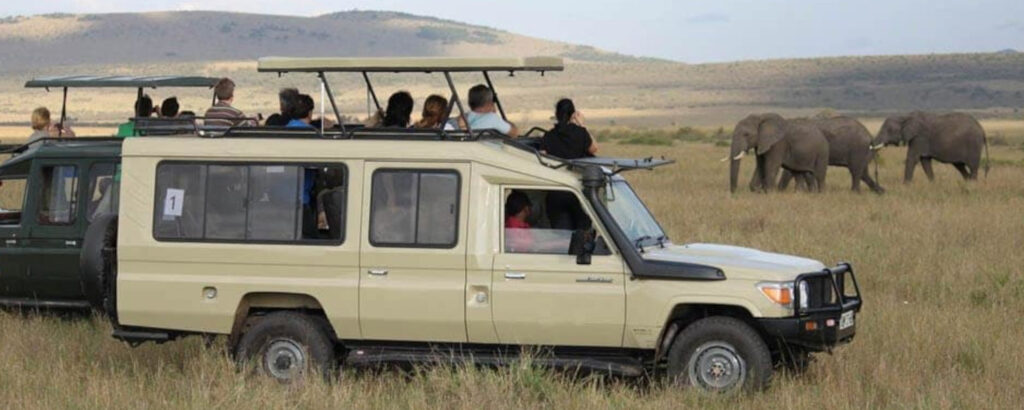 Best Safari Vehicles in Tanzania – What’s Inside