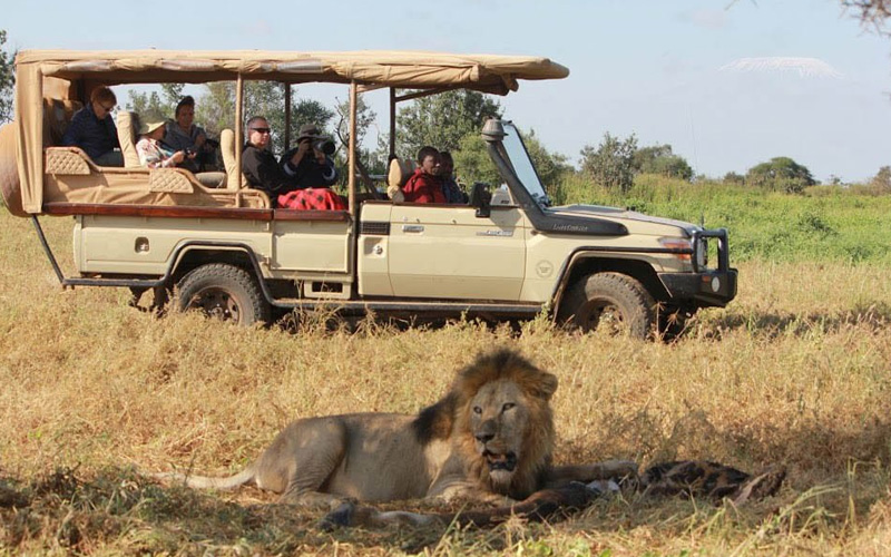 Best Safari Vehicles