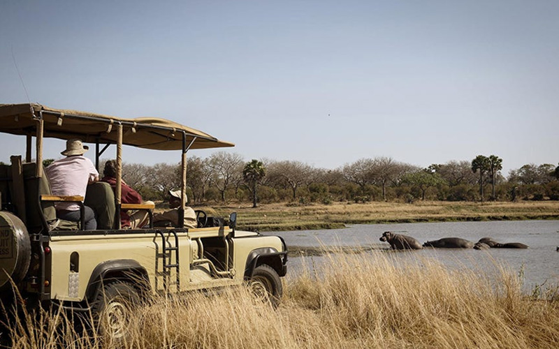 Best Southern Circuit Safaris in Tanzania