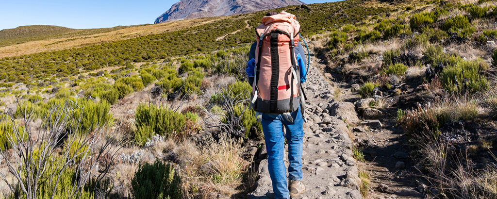 Best Time of Year to Climb Kilimanjaro