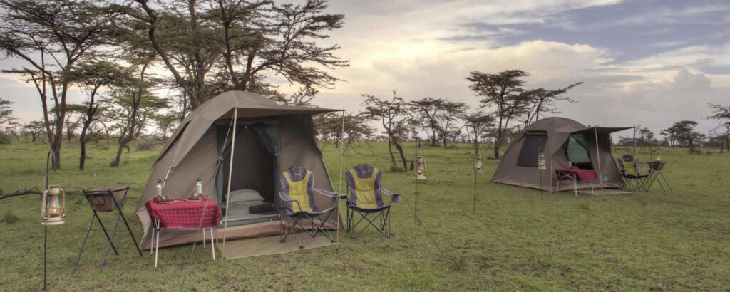 Budget Camping Safari