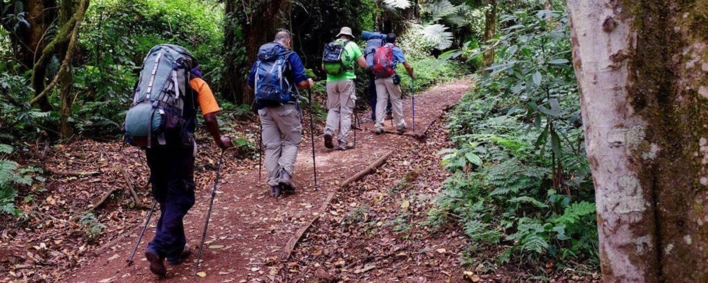 Eco-Friendly Trekking on Mount Kilimanjaro