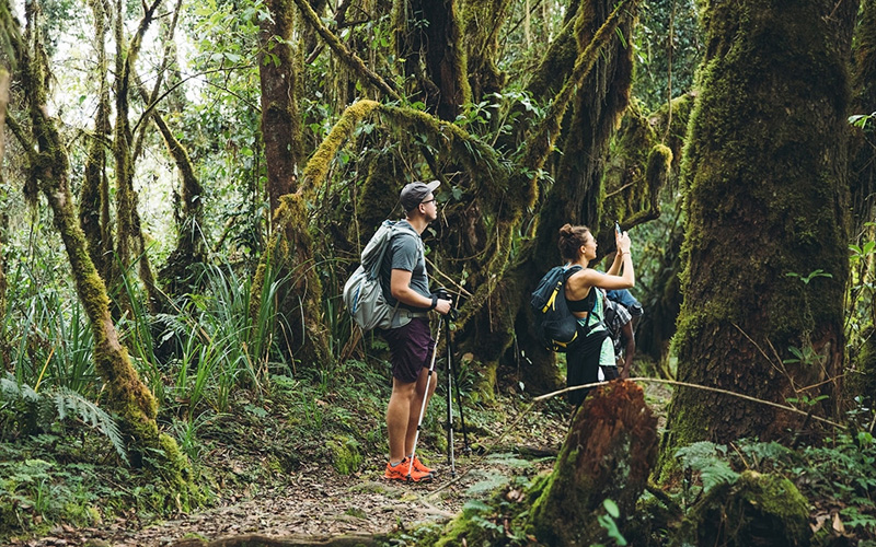 Eco-Friendly Trekking