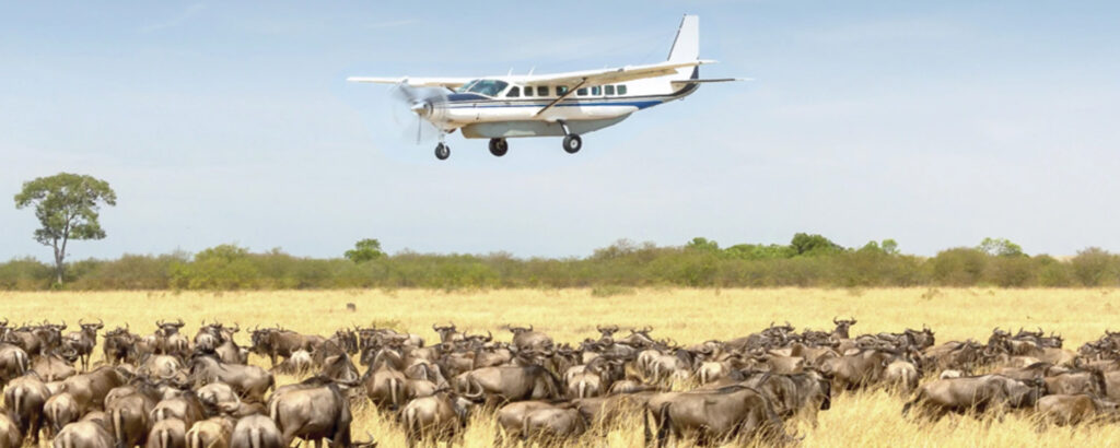 Fly-In Safaris vs Overland Safaris in Tanzania