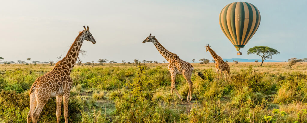 Hot Air Balloon Safari in Serengeti