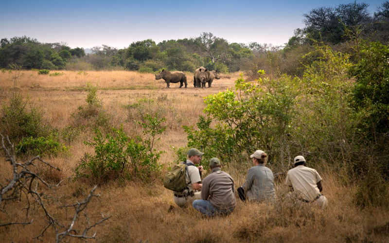 How to Plan the Perfect Tanzania Safari