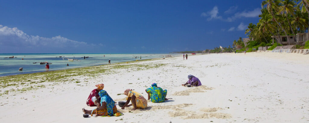 Jambiani Beach in Zanzibar