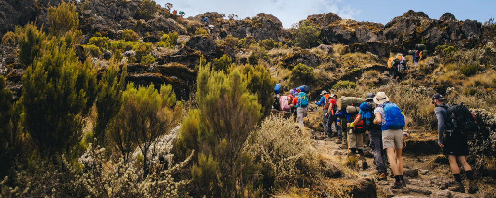 Learn how Kilimanjaro Guides support climbers with expertise, safety, and encouragement, helping you reach the summit successfully and enjoy a memorable trek