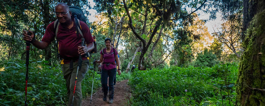 Kilimanjaro for Beginners – Everything You Need to Know