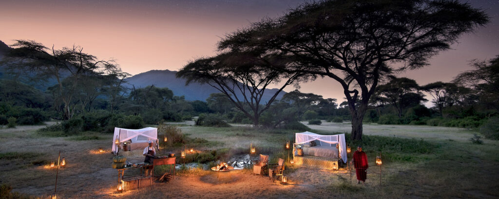 Night Game Drives