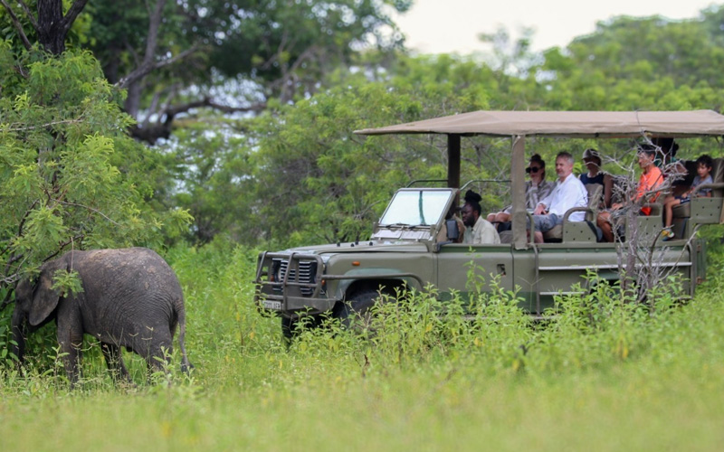 Nyerere (Selous) National Park Safari Experience