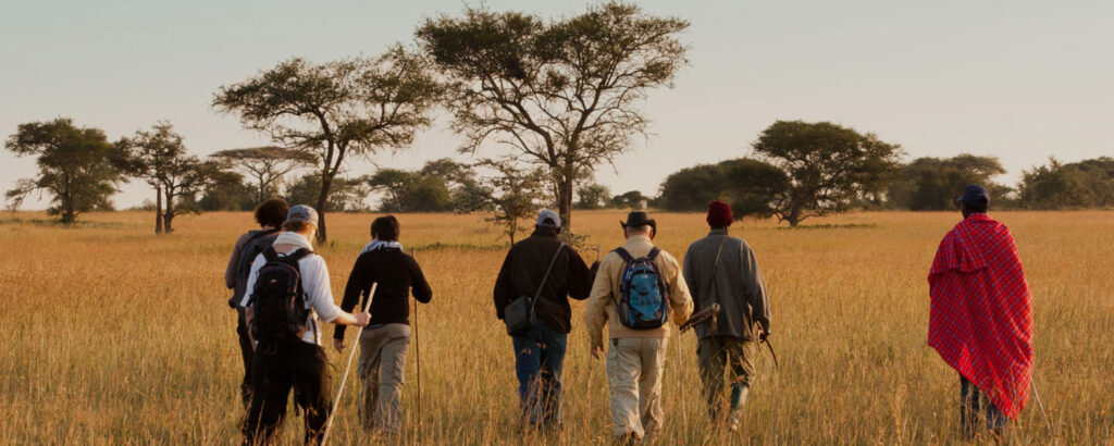 Private vs Group Safaris in Tanzania – Which is Better