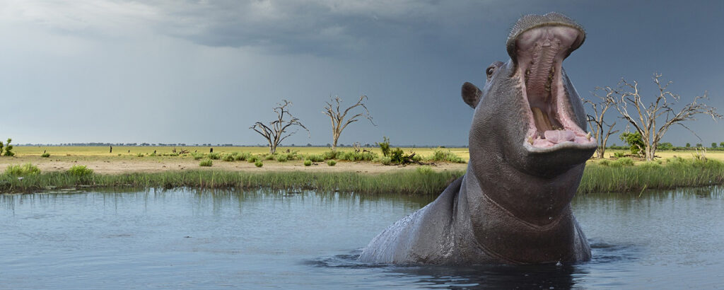 Safari Etiquette-Do’s and Don’ts for Visitors