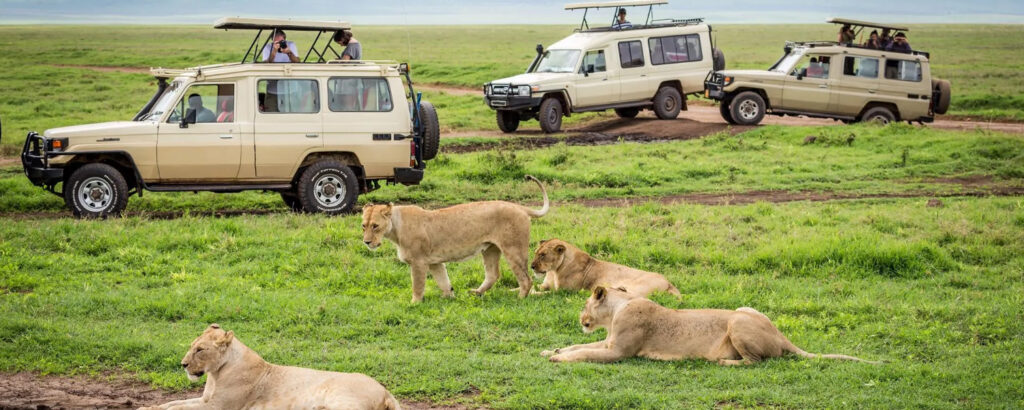 Tanzania Safari Cost Breakdown