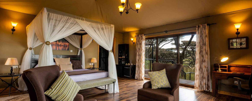 Tanzania Safari Packages- Budget vs Luxury