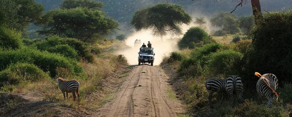 Tanzania Safari by Road – Routes and Tips