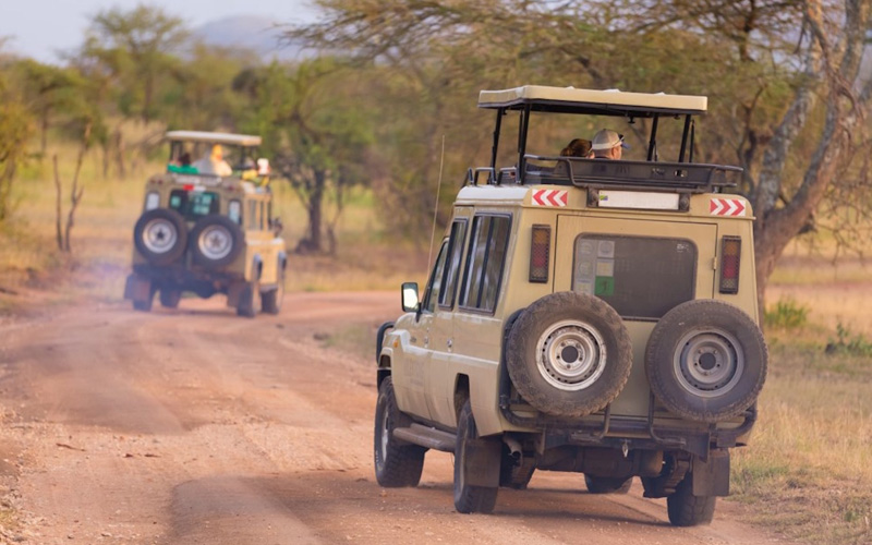 Tanzania Safari by Road and Tips