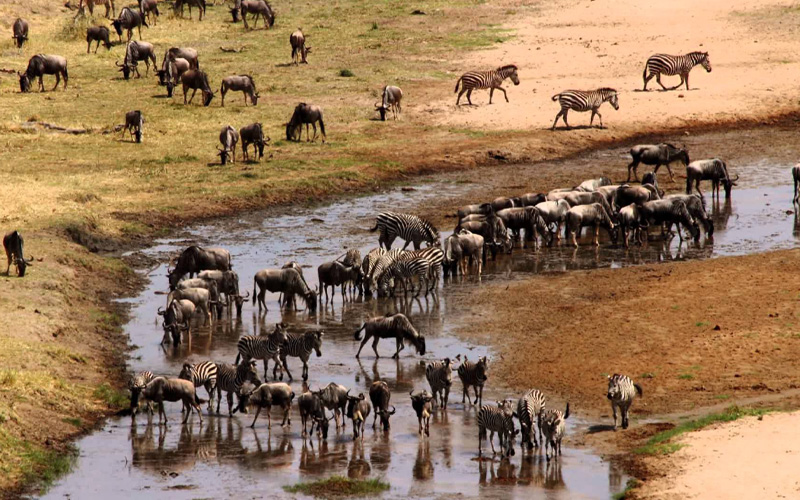 Tarangire National Park