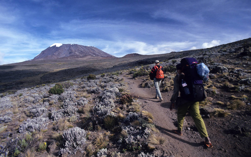 The Best Kilimanjaro Route 