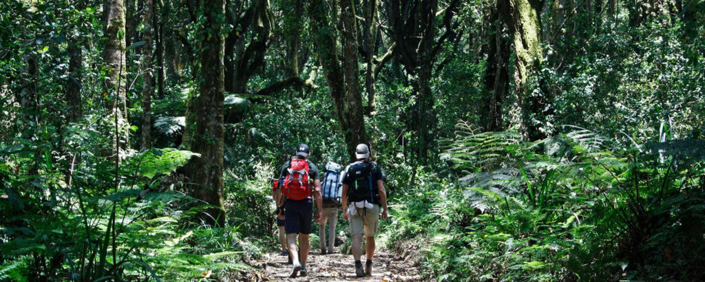 What It’s Like to Climb Kilimanjaro Day by Day
