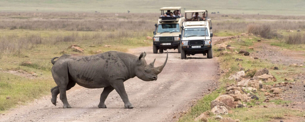 What to Pack for Your Tanzania Safari