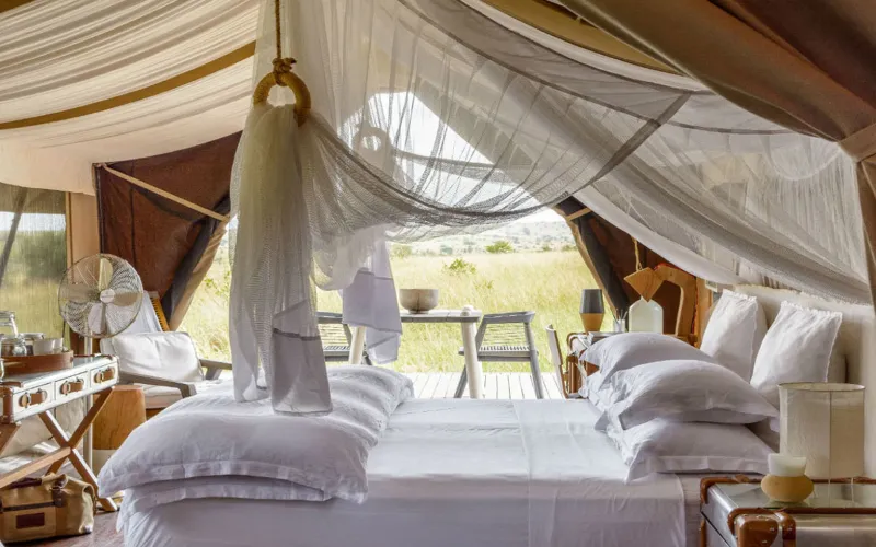 Best Migration Safari Lodges with River Views