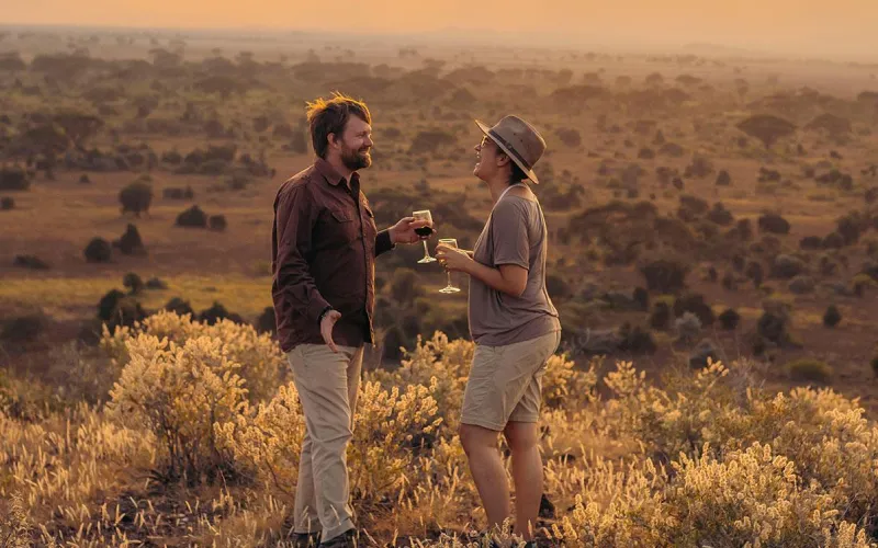 Best Migration Safaris for Couples and Honeymooners
