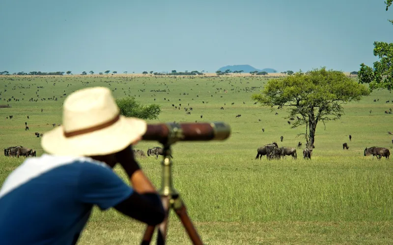 Best Safari Camps for Photographers in Serengeti