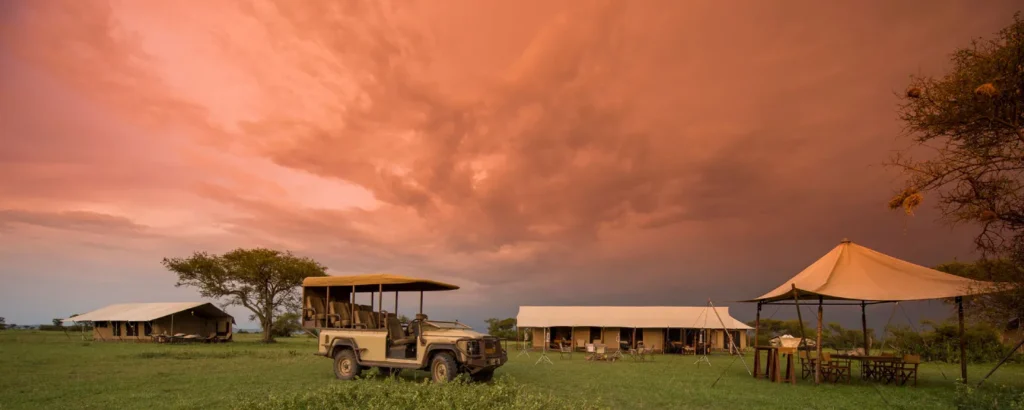 Best Safari Camps for Photographers in Serengeti