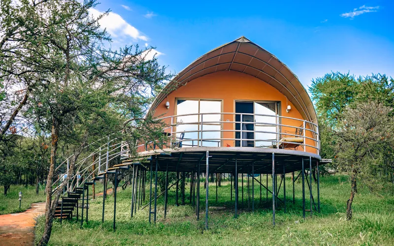 Best Safari Lodges for Bird Lovers in Tanzania