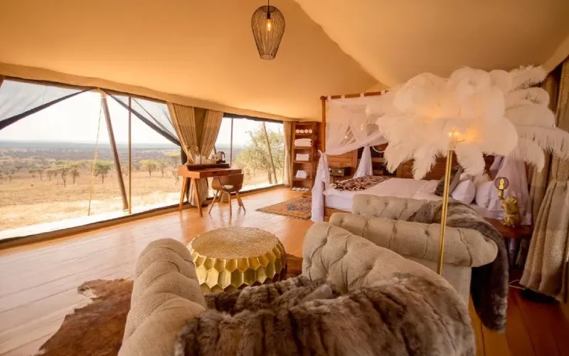 Best Safari Lodges in Serengeti for Wildlife Viewing