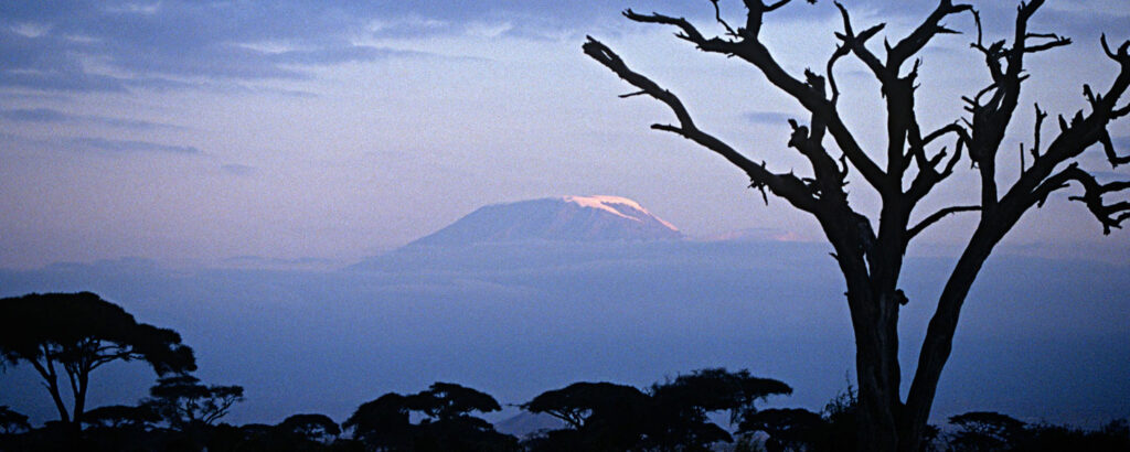 Best Safari Parks to Visit After Kilimanjaro