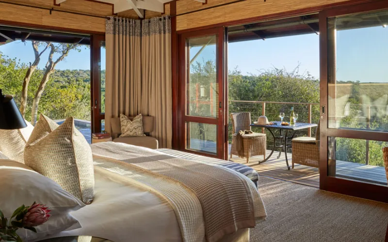 Budget Safari Lodges That Still Feel Luxurious