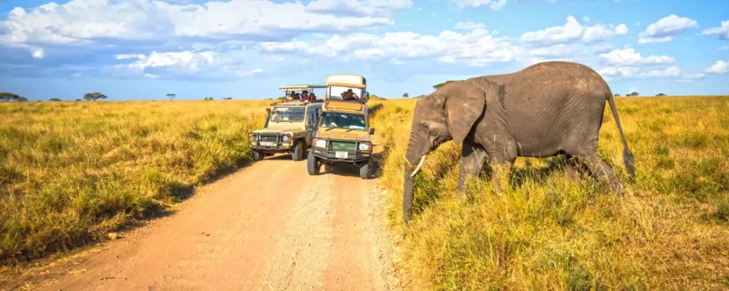 Classic Tanzania Safari vs Off-the-Beaten-Path Adventures