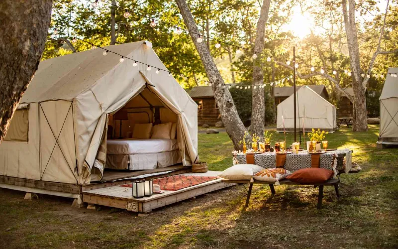 Fly-In Safari Camps – Luxury Without Long Drives