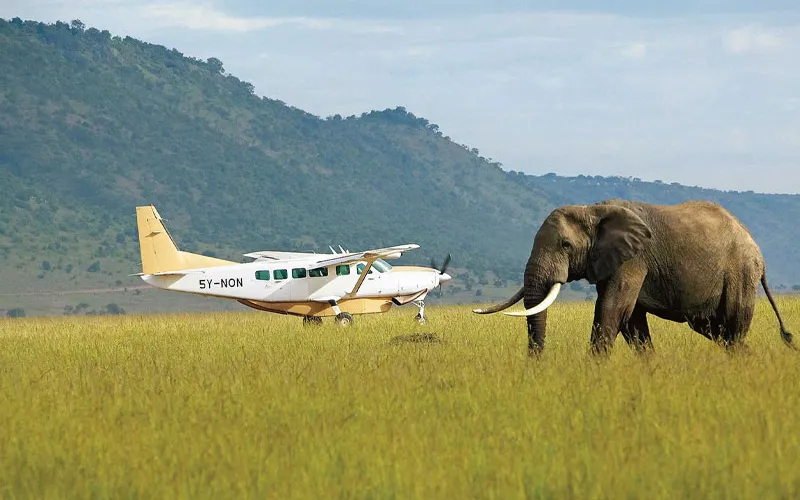 Fly vs Drive: Best Way to Explore Tanzania Parks