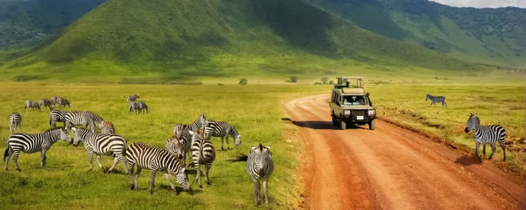 Fly vs Drive: Best Way to Explore Tanzania Parks