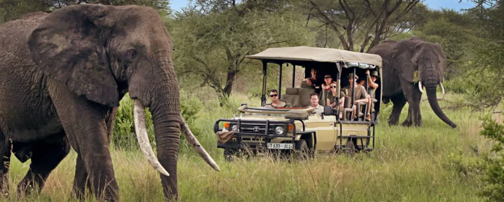 How Long Should Your Tanzania Safari Be?