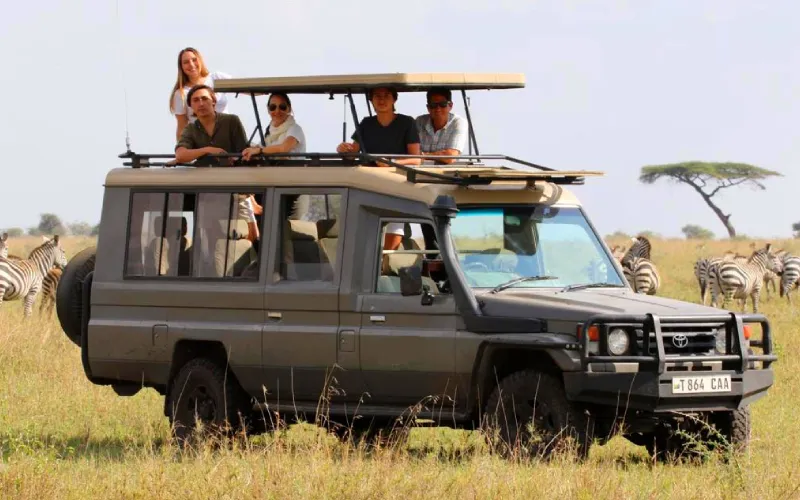 Migration Safari Vehicles – Open vs Closed 4x4 Experience