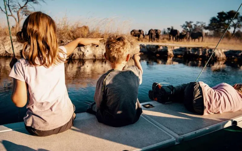 Migration Safari with Kids – Safety and Comfort Tips