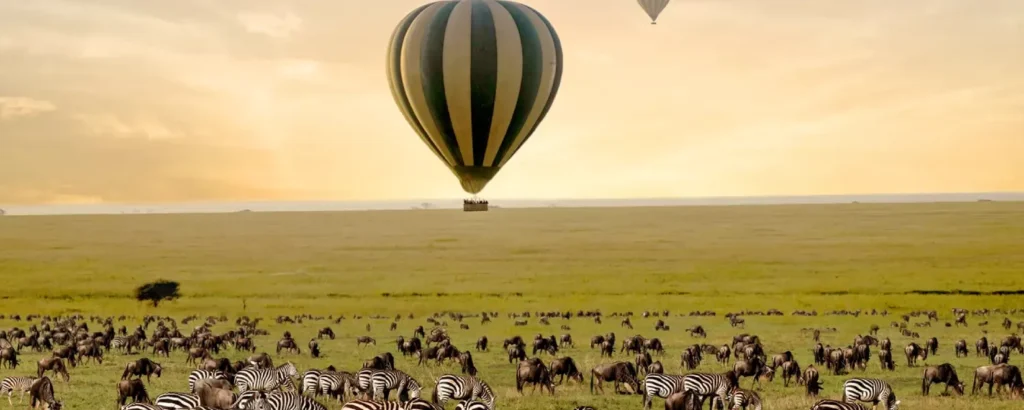 Migration Safaris with Hot Air Balloon Add-On