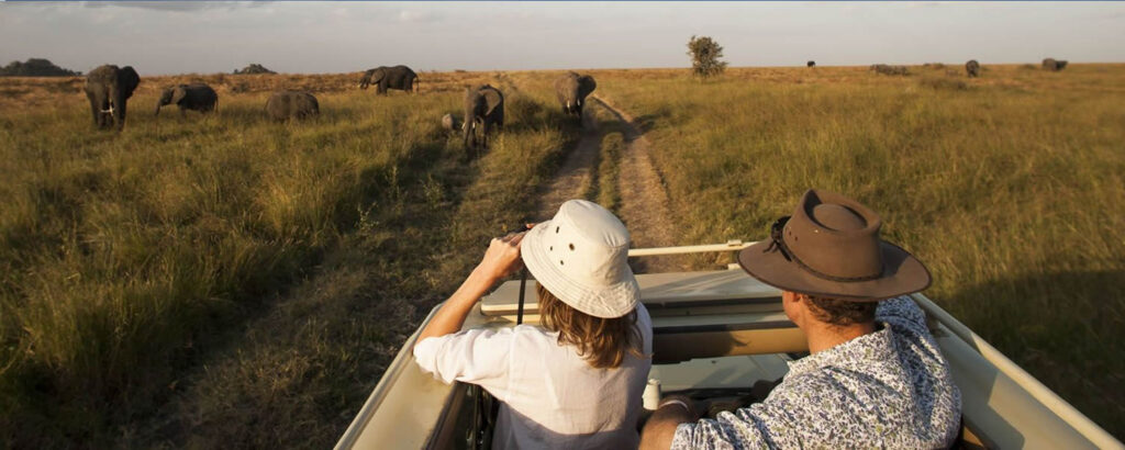 Safari Before vs After Kilimanjaro – Pros and Cons